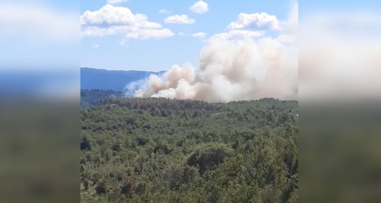 Incendio Forestal en Dalcahue