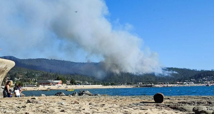 Incendio forestal afecta zona de Dichato en Concepción