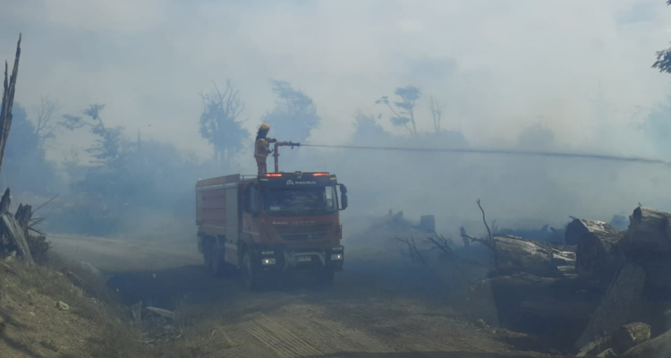 alerta roja por incendio forestal en magallanes