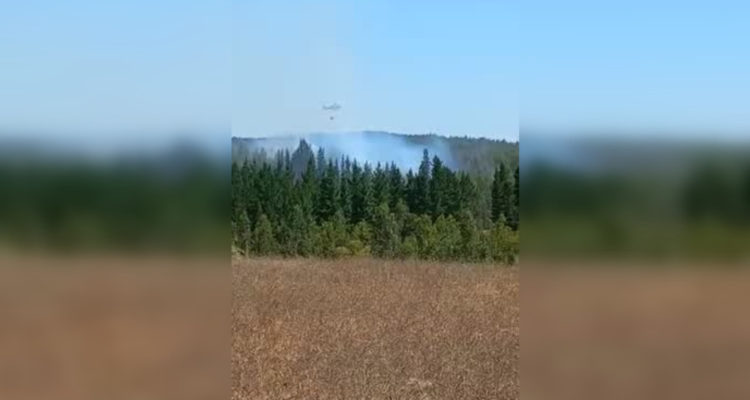 Incendio forestal en Quillón