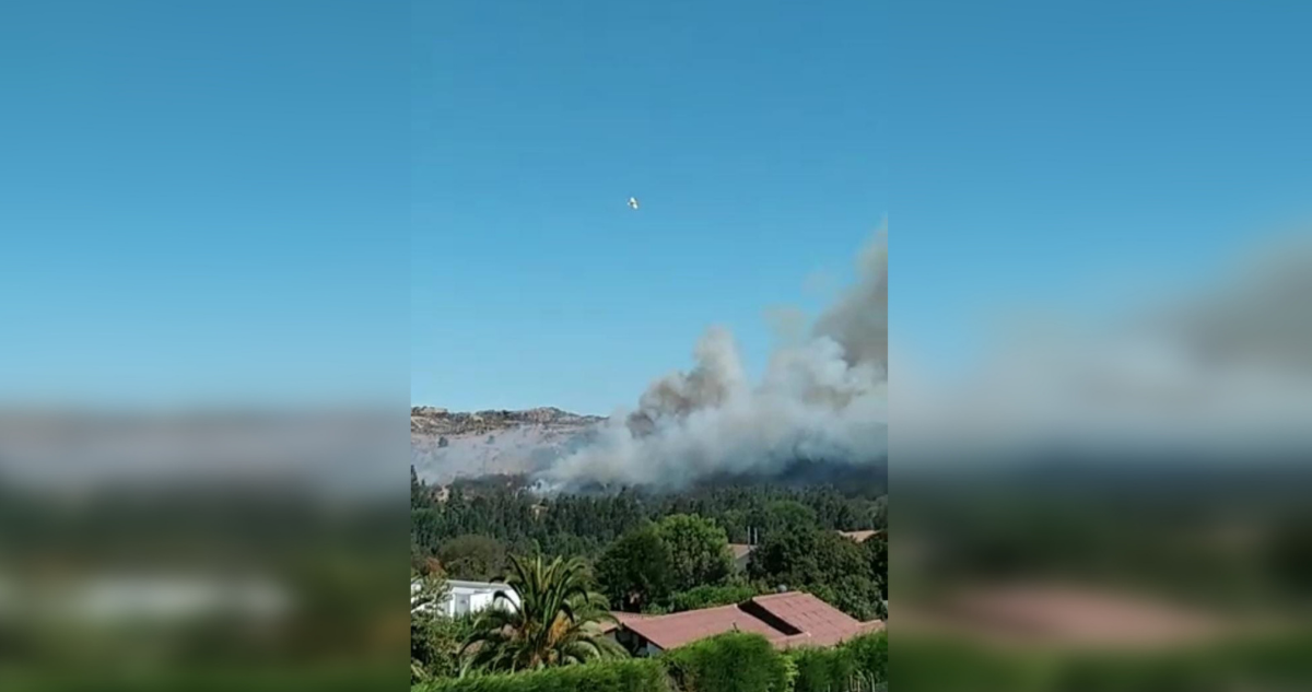 Incendio forestal