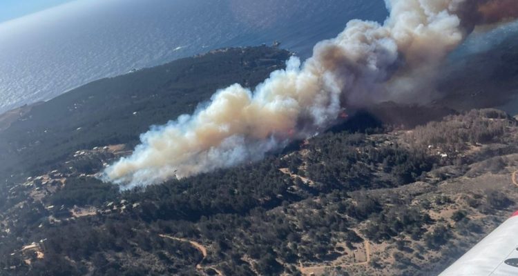 Laguna Verde: Onemi decreta Alerta Roja por incendio forestal