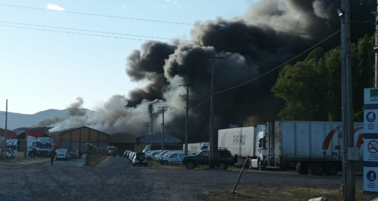 Incendio destruye bodegas de la empresa Pipau en Maule.