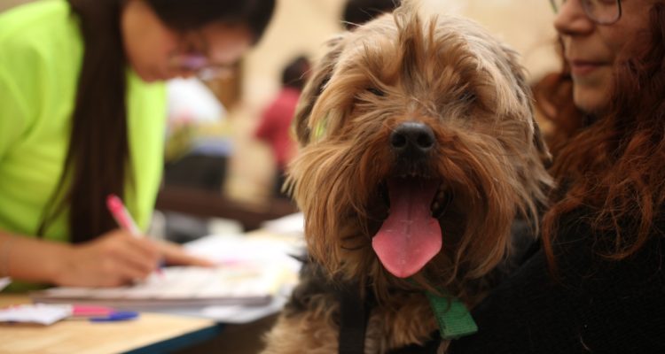 Contexto | Agencia UNO