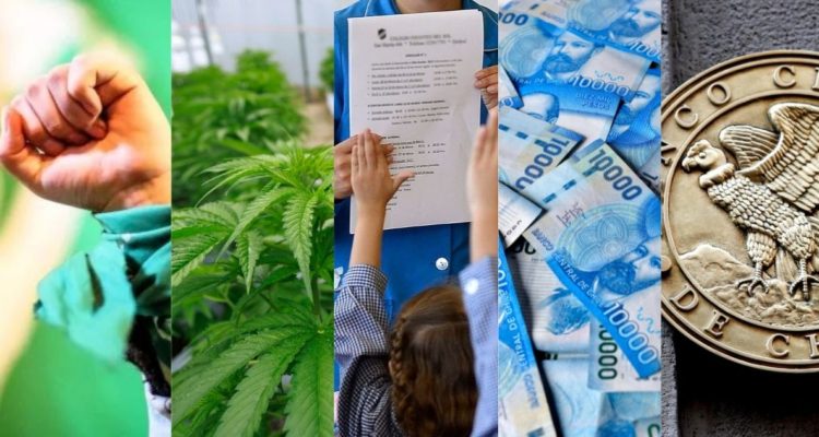 Iniciativas populares