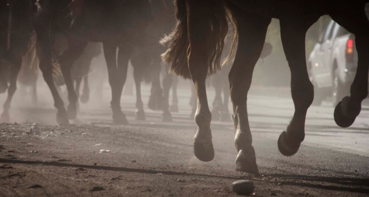 Joven que perdió dedo es trasladado a caballo hasta Hospital de Osoro