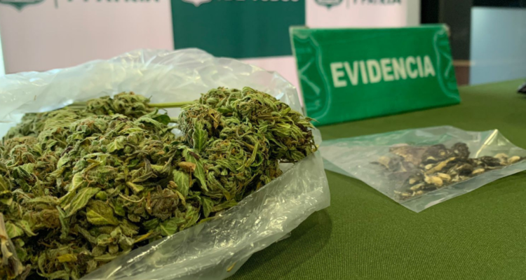 Decomisan droga en Mulchén