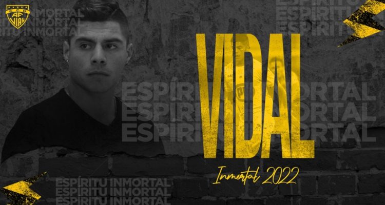 Fernandez Vial anuncia arribo de Benjamin Vidal