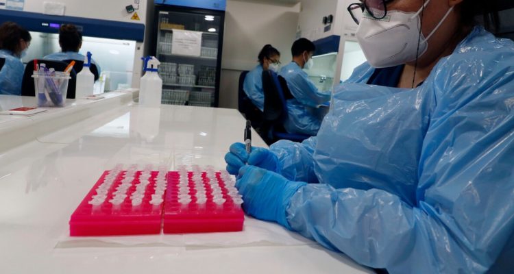 Foto de contexto sobre procesamiento de exámenes de PCR luego que Minsal reportara 684 casos de Ómicron