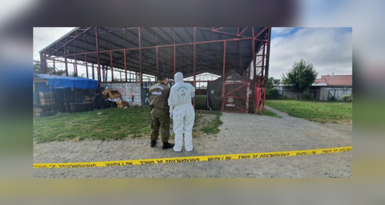 Operativo de Carabineros en Puerto Varas