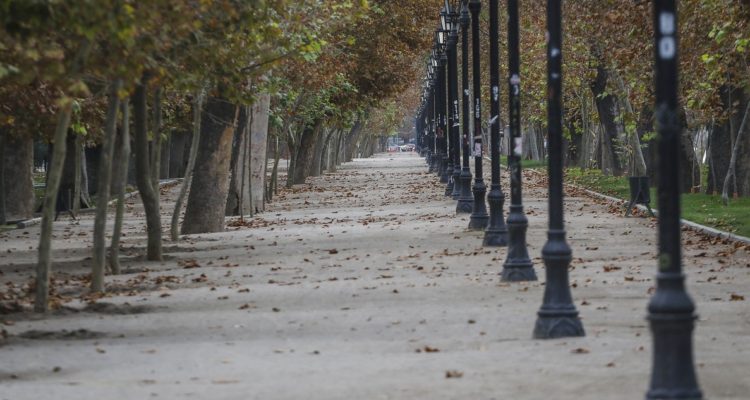 Niño perdido Parque Forestal