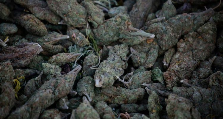 Inauguran Observatorio Nacional de Drogas, que busca para prevenir consumo