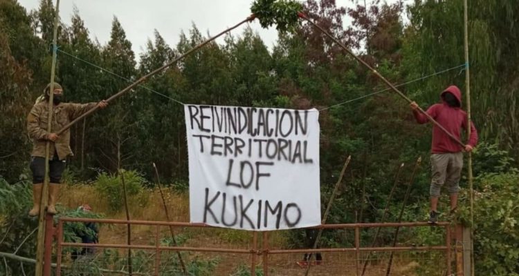 Ocupación de predio forestal en Osorno
