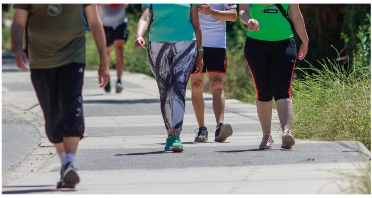 Cambios en el Paso a Paso