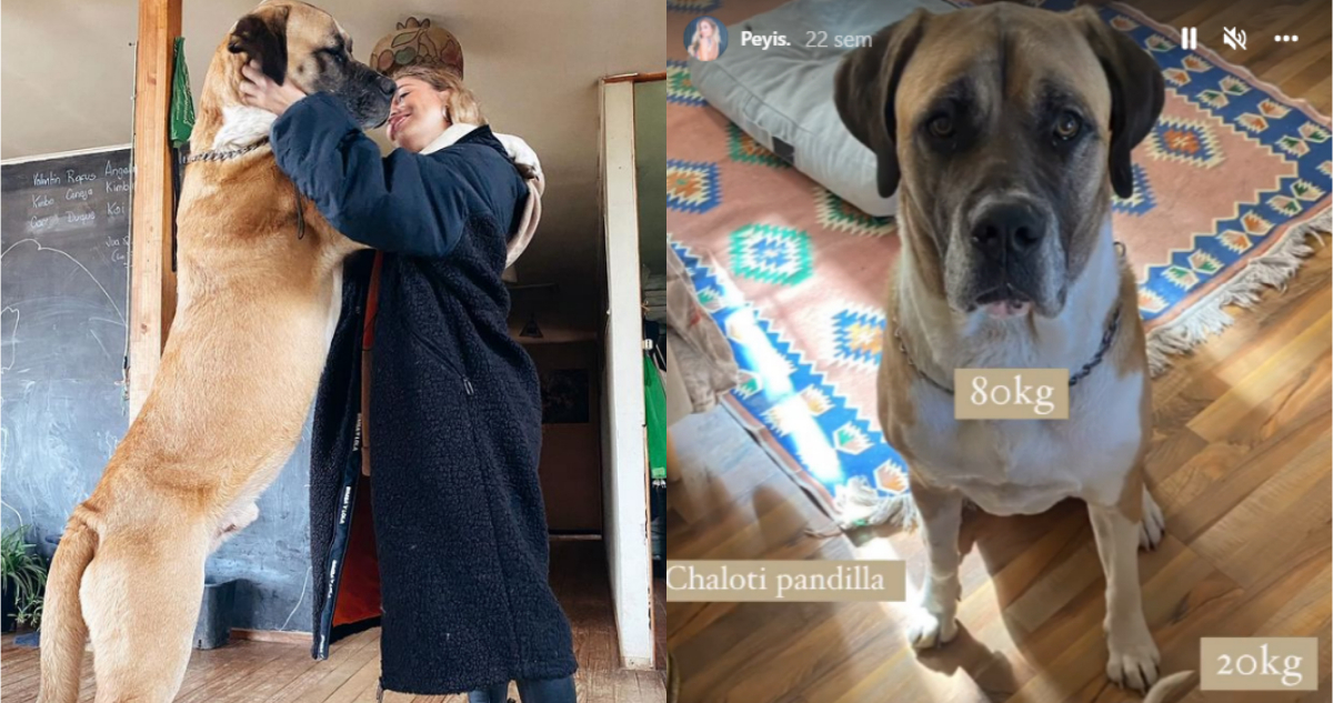 Una foto de la influencer junto a su perro Charlie, junto a una fotografía donde comenta su peso de 80 kilos.
