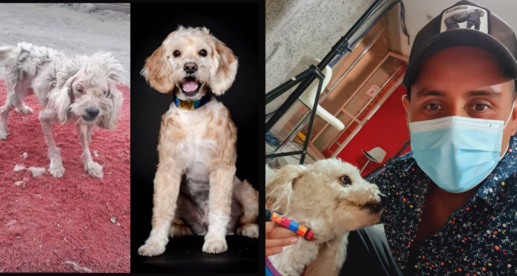 David Fernández animalista