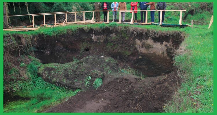 Sitio paleontológico Pilauco