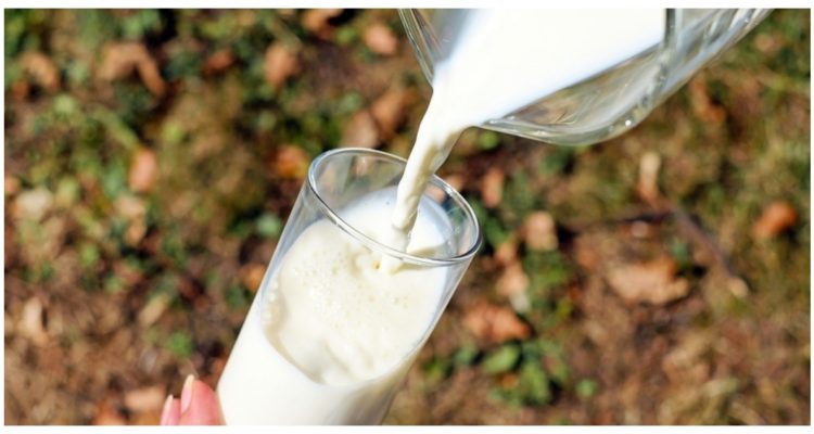 Productores lecheros