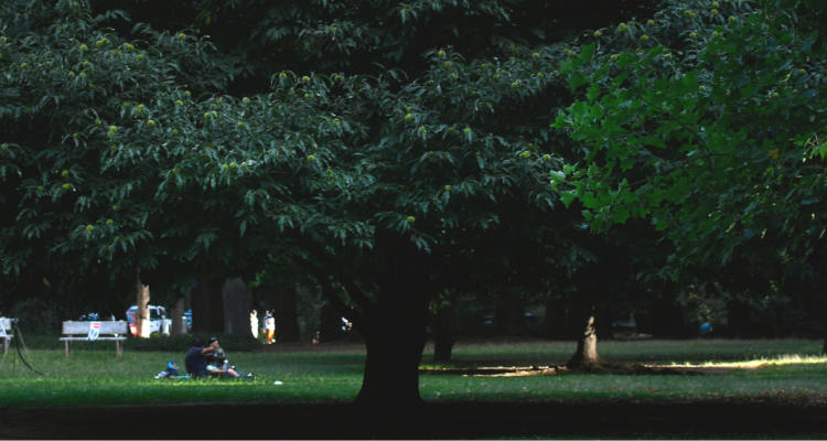 Generación Z prefiere productos sostenibles con medio ambiente