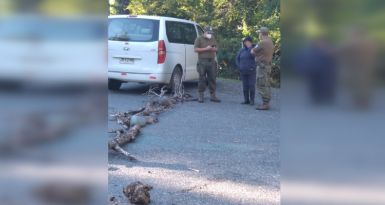 Protesta en Alto Bío Bío