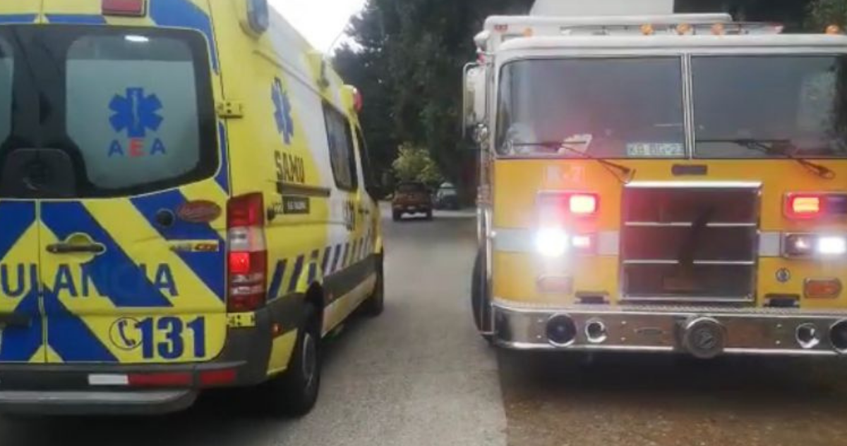Rescatan ilesa a mujer que se lanzó desnuda por barranco en Valdivia