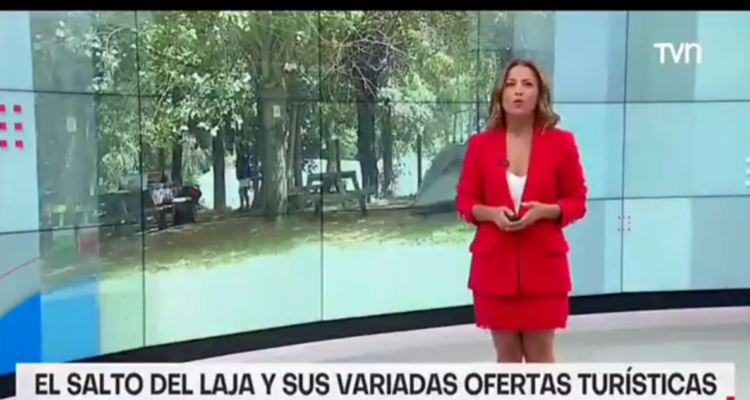 Lapsus de Constanza Santa María