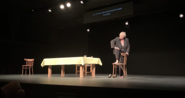 Viviane de Muynck en Santiago a Mil