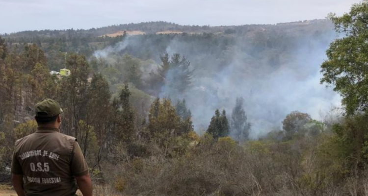 Se mantiene alerta roja por incendio forestal en Valparaíso