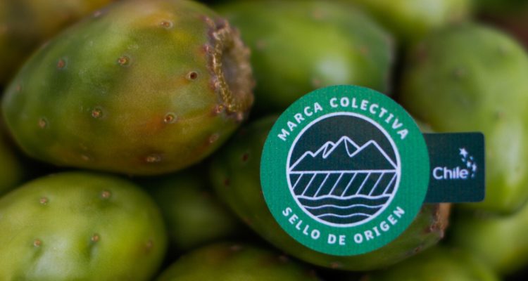 Sello de origen tunas y frutillas en la RM