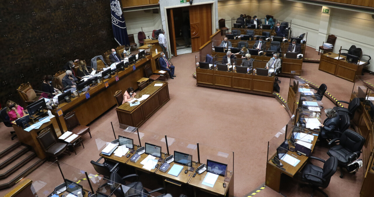 senado