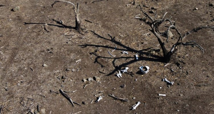 Expertos advierten que si llueve poco en 2022, Santiago vivirá restricciones de uso de agua potable