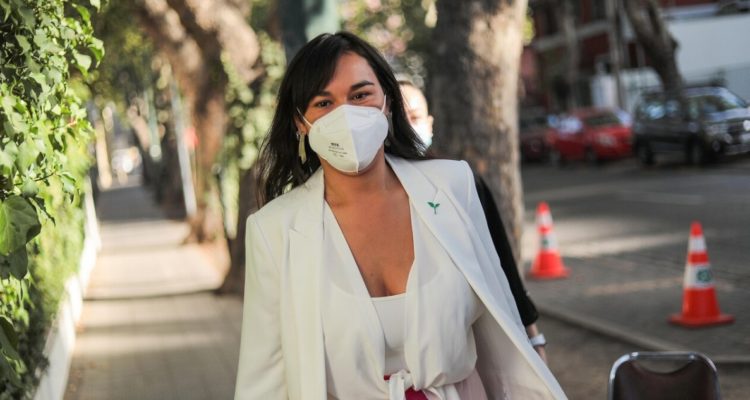 “Hay grupos civiles no mapuche no disponibles para trabajar”: oficialismo criticó dichos de Siches