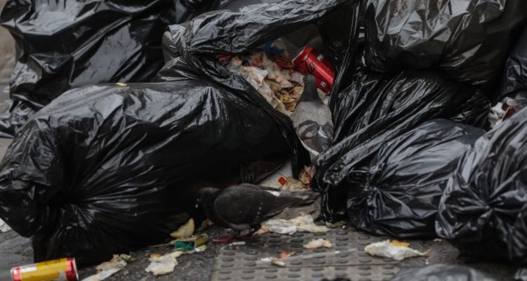 San Juan de la Costa: sumario sanitario por acumulación de basura