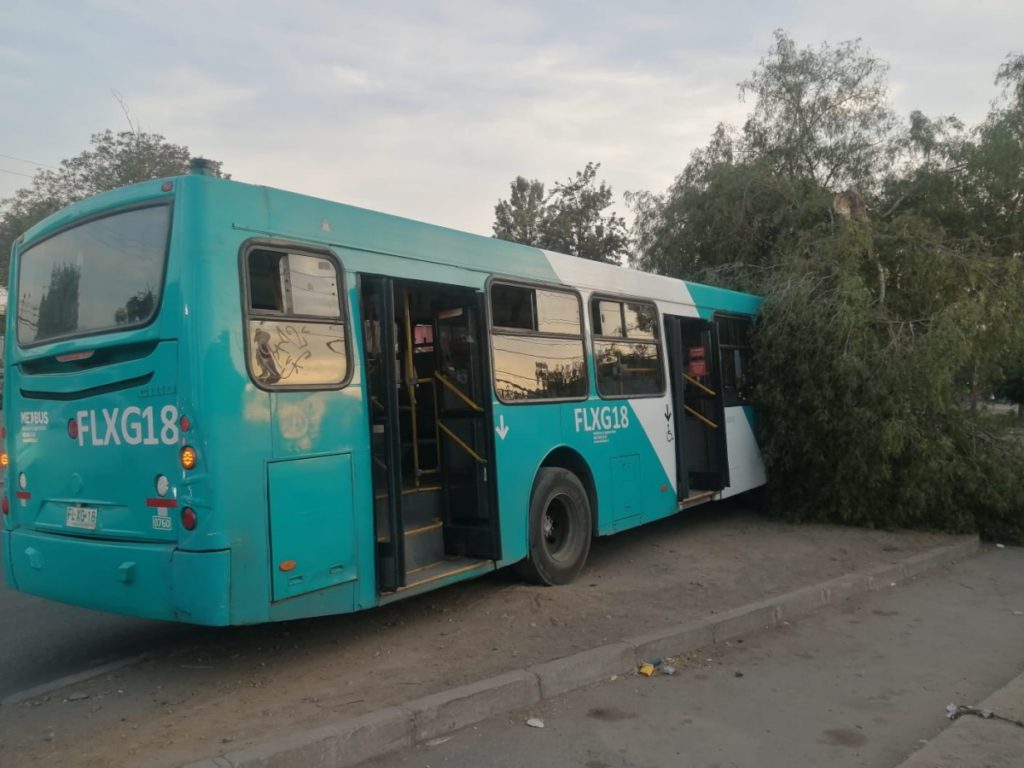 Tres lesionados dejó choque de bus del Transantiago con un árbol en la capital