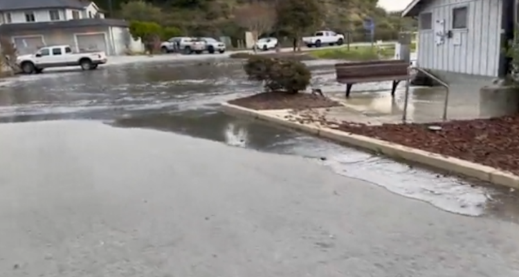 Tsunami golpea la costa oeste de EEUU y Canadá tras la erupción en Tonga