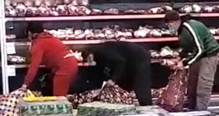 detienen a banda dedicada a turbazos