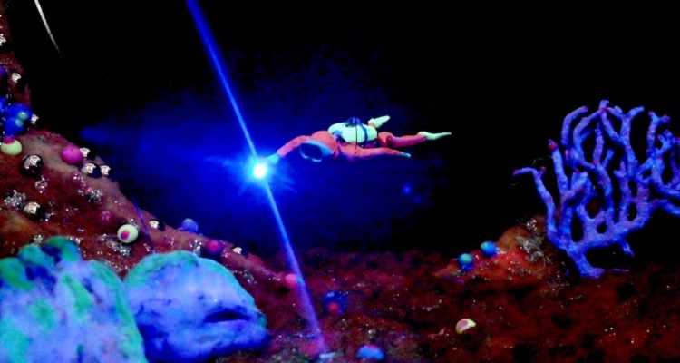 buzo nadando en un viaje submarino