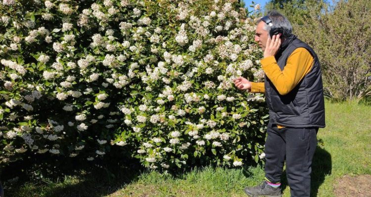 actor en busqueda de abejas