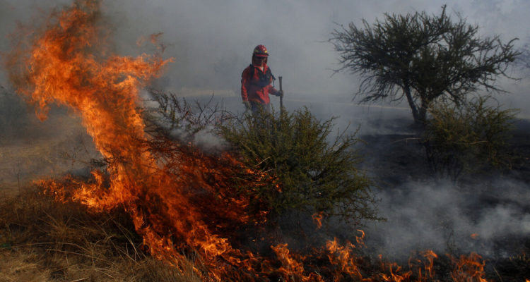 Foto de incendio en Villa Alemana