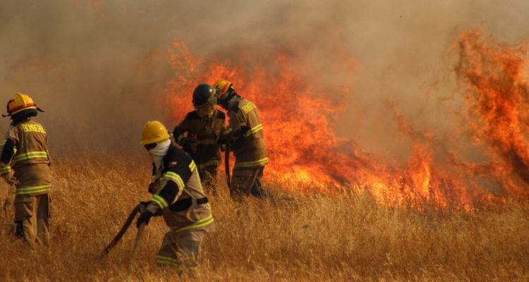 Más de 4 mil incendios forestales han ocurrido durante el verano: preocupa situación en La Araucanía