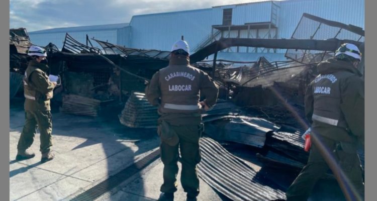 Matadero donde murieron quemados 600 corderos en Punta Arenas