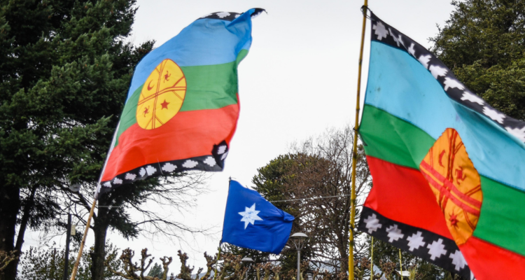 Banderas mapuches