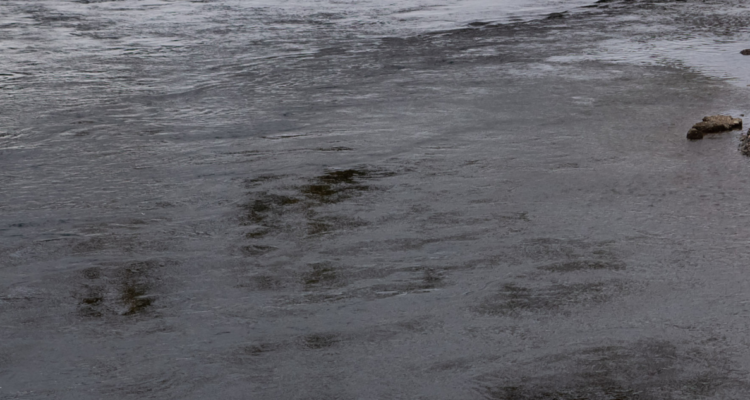 Personas sin agua en Puerto Octay.