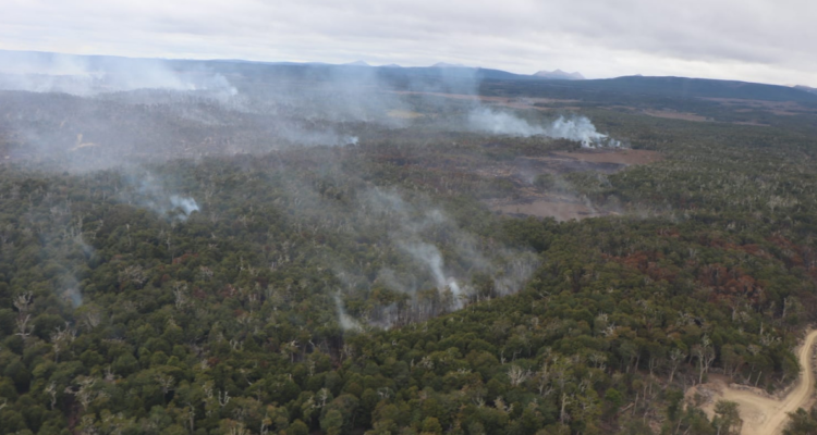 bajan alerta roja por incendio forestal en timaukel
