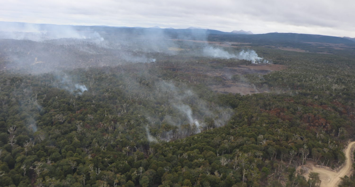 bajan alerta roja por incendio forestal en timaukel