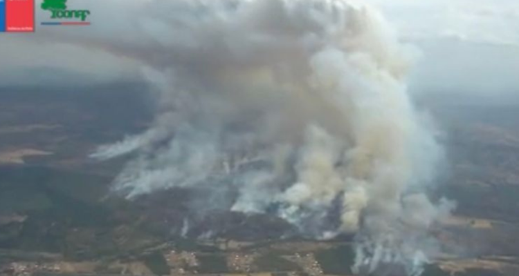 Alerta Roja en Ercilla