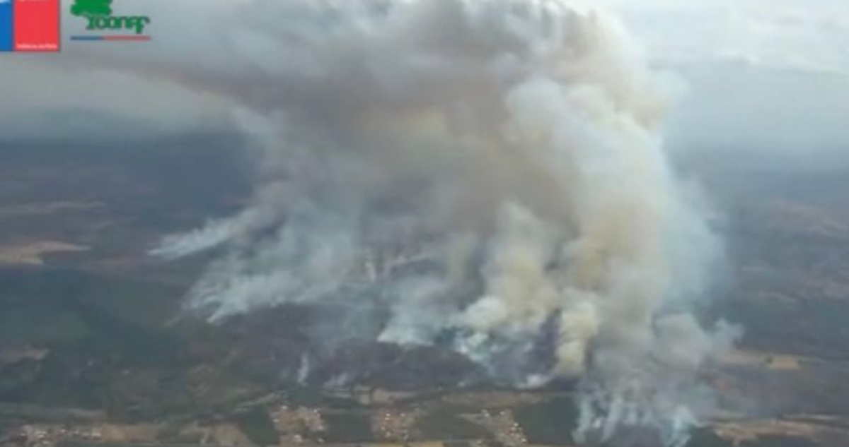Alerta Roja en Ercilla