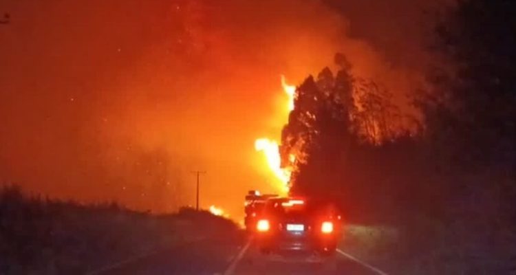 Alerta Roja Mulchén