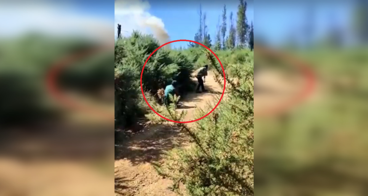 Atacan a carabineros en La Araucanía.