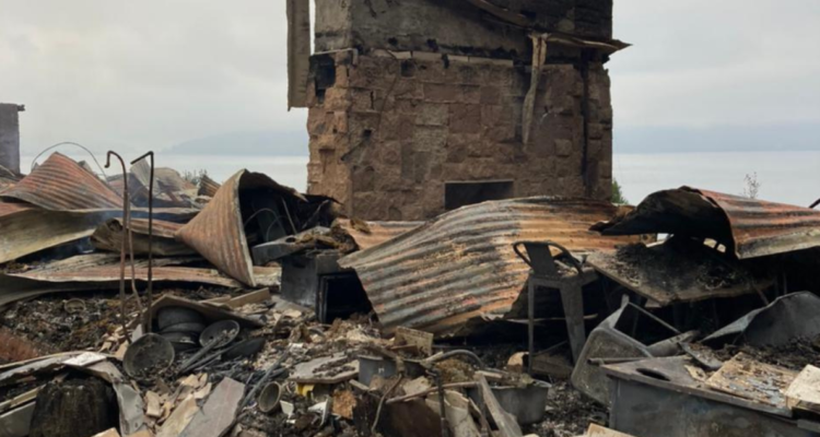 ataque incendiario en lago lanalhue